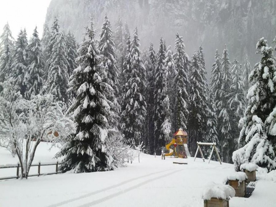 Alpenhotel Panorama