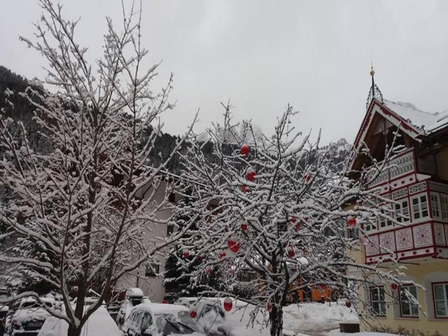 Alpenhotel Panorama