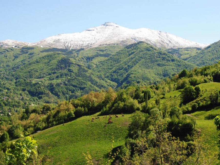 Hotel Val di Luce